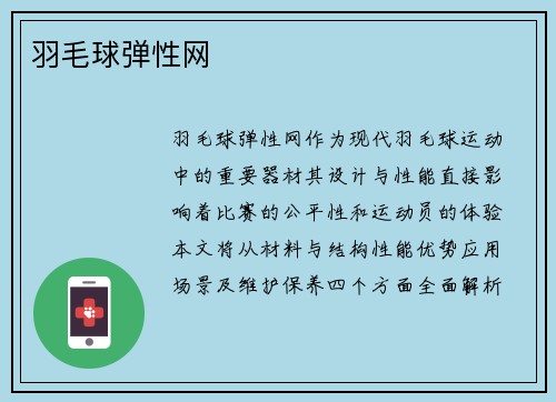 羽毛球弹性网