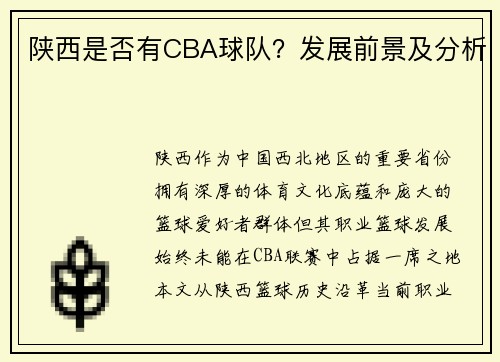 陕西是否有CBA球队？发展前景及分析